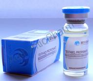 Buy Steroids Online - Buy Testabol Propionate BD (Testosterone Propionate) - British Dragon